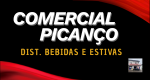 Logo Parceiro Comercial Picanço